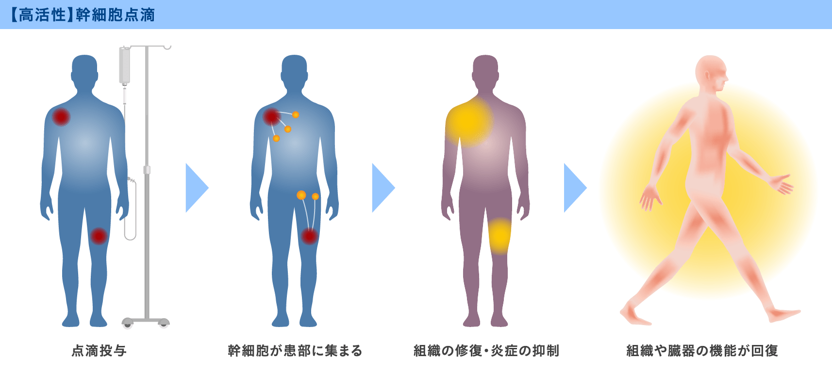 【高活性】幹細胞点滴