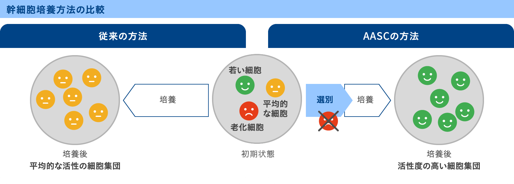 幹細胞培養方法の比較