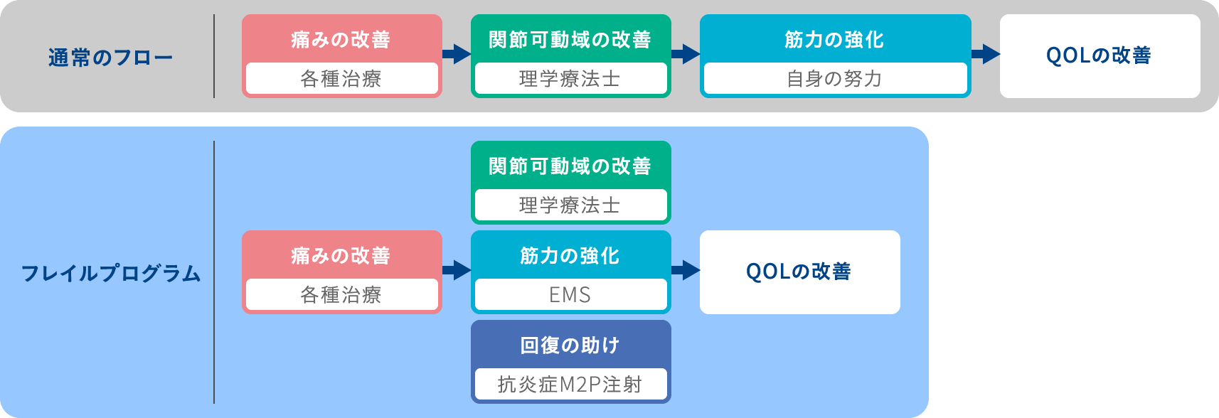 当院の筋力増大プログラムの特徴