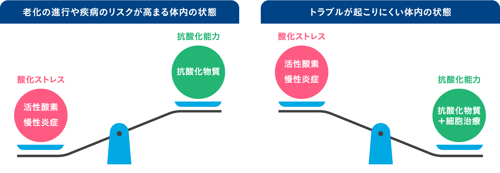 老化の進行や疾病のリスクが高まる体内の状態／トラブルが起こりにくい体内の状態