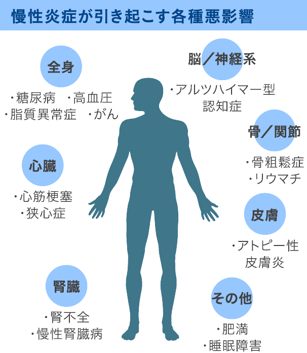 慢性炎症が引き起こす各種悪影響