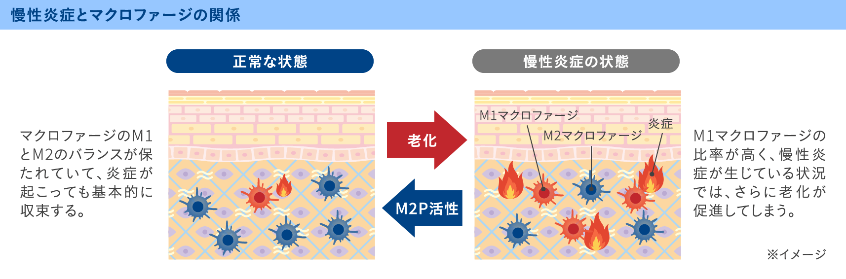 厳しく管理された品質 イメージ