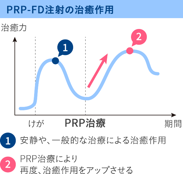 PRP-FD注射の治療作用